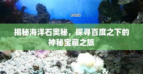 揭秘海洋石奥秘，探寻百度之下的神秘宝藏之旅