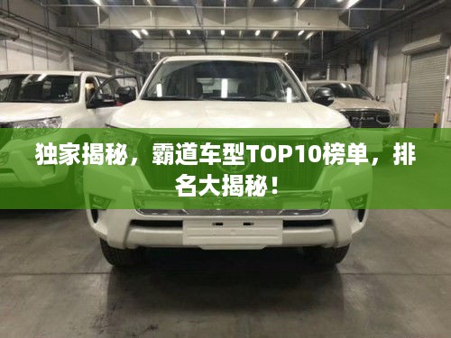 独家揭秘，霸道车型TOP10榜单，排名大揭秘！