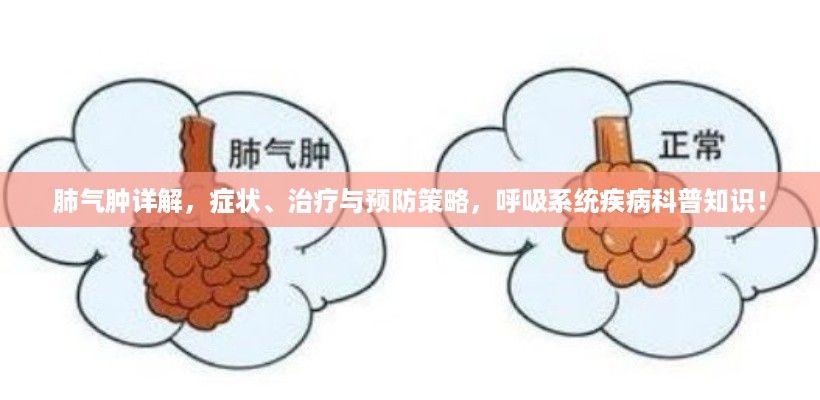 肺气肿详解，症状、治疗与预防策略，呼吸系统疾病科普知识！