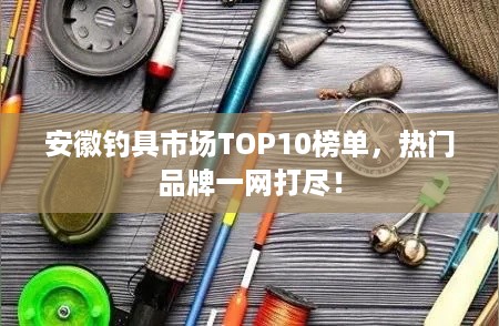 安徽钓具市场TOP10榜单，热门品牌一网打尽！