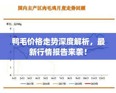 鸭毛价格走势深度解析，最新行情报告来袭！