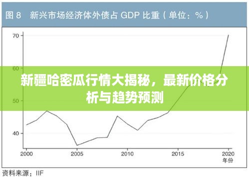 新疆哈密瓜行情大揭秘，最新价格分析与趋势预测