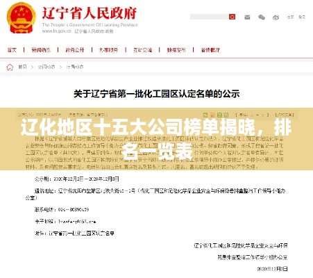 辽化地区十五大公司榜单揭晓，排名一览表