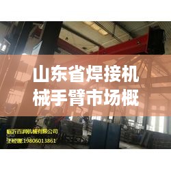 山东省焊接机械手臂市场概览与行情深度解析