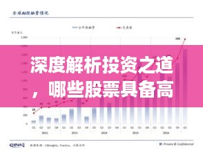 深度解析投资之道，哪些股票具备高增长潜力