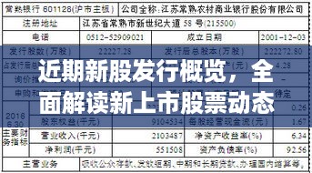 近期新股发行概览，全面解读新上市股票动态