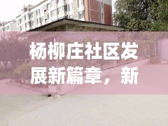 杨柳庄社区发展新篇章，新闻头条抢先看！