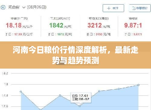 河南今日粮价行情深度解析，最新走势与趋势预测