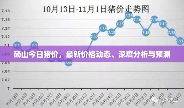 砀山今日猪价，最新价格动态、深度分析与预测