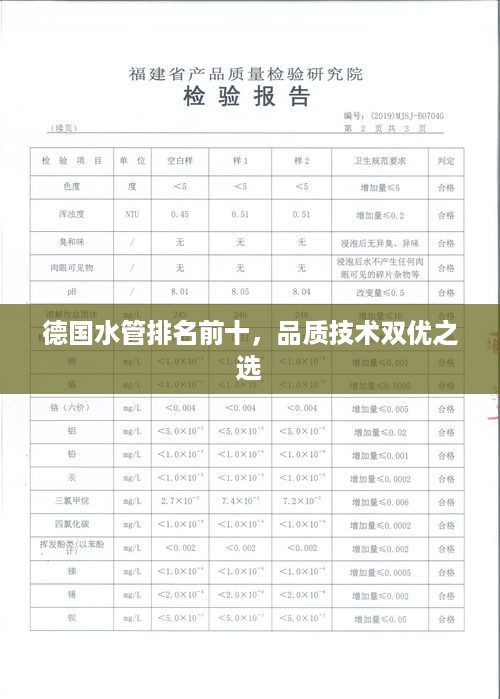 德国水管排名前十，品质技术双优之选