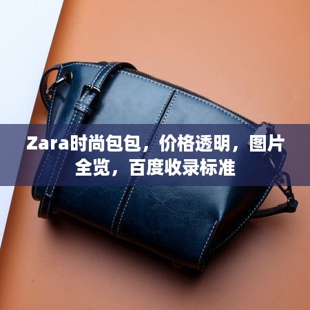 Zara时尚包包，价格透明，图片全览，百度收录标准