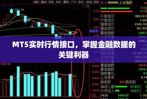 MT5实时行情接口，掌握金融数据的关键利器