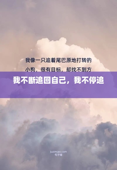 我不断追回自己，我不停追 