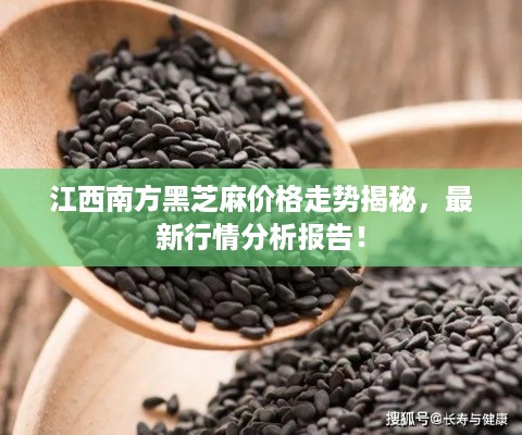 江西南方黑芝麻价格走势揭秘，最新行情分析报告！