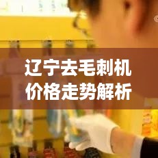 辽宁去毛刺机价格走势解析，最新行情一目了然