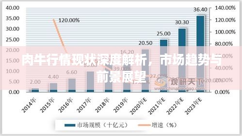 肉牛行情现状深度解析，市场趋势与前景展望