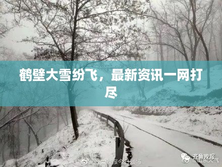 鹤壁大雪纷飞，最新资讯一网打尽