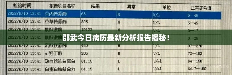 邵武今日病历最新分析报告揭秘！