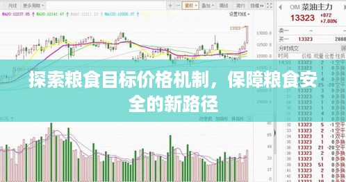 探索粮食目标价格机制，保障粮食安全的新路径