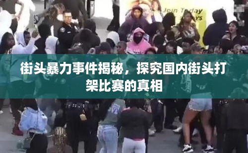 街头暴力事件揭秘，探究国内街头打架比赛的真相