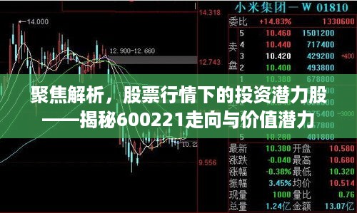 聚焦解析，股票行情下的投资潜力股——揭秘600221走向与价值潜力