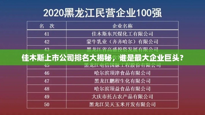 佳木斯上市公司排名大揭秘，谁是最大企业巨头？