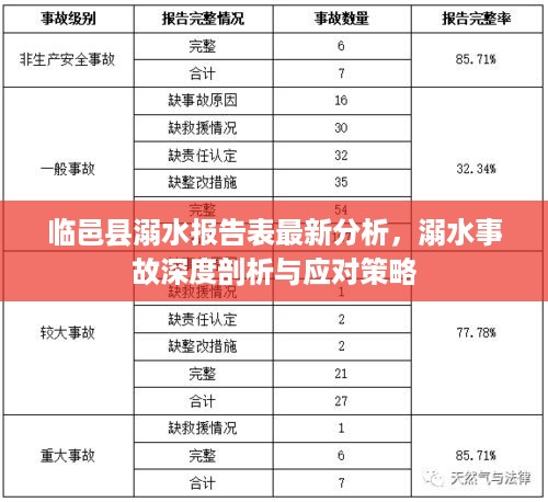 临邑县溺水报告表最新分析，溺水事故深度剖析与应对策略