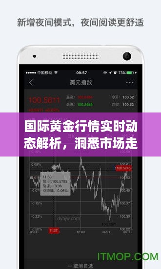 国际黄金行情实时动态解析，洞悉市场走势，把握投资先机