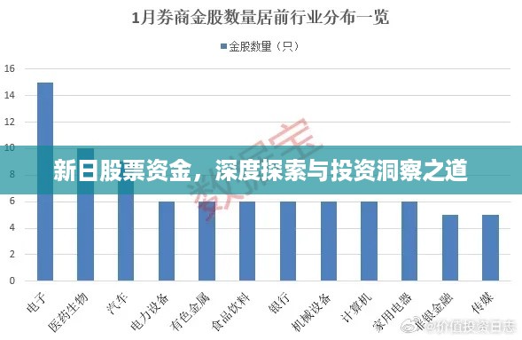 新日股票资金，深度探索与投资洞察之道