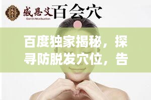 百度独家揭秘，探寻防脱发穴位，告别脱发困扰之旅