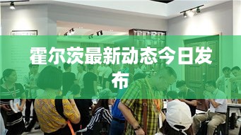 霍尔茨最新动态今日发布