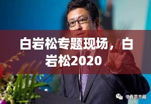 白岩松专题现场，白岩松2020 