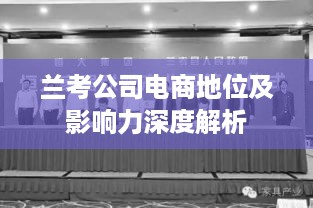 兰考公司电商地位及影响力深度解析