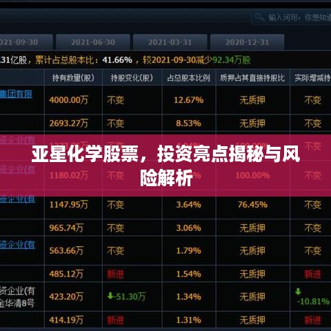 亚星化学股票，投资亮点揭秘与风险解析