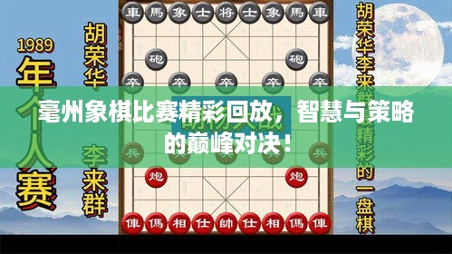 毫州象棋比赛精彩回放，智慧与策略的巅峰对决！