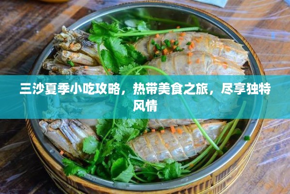 三沙夏季小吃攻略，热带美食之旅，尽享独特风情