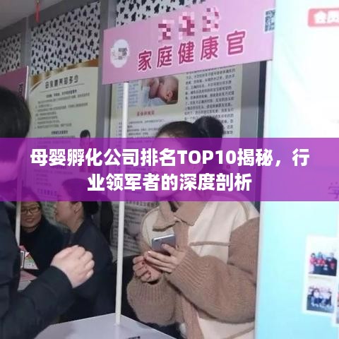 母婴孵化公司排名TOP10揭秘，行业领军者的深度剖析