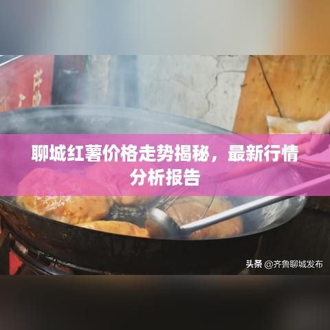聊城红薯价格走势揭秘，最新行情分析报告