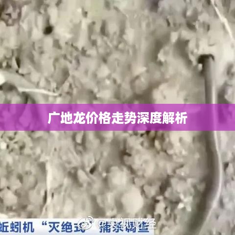 广地龙价格走势深度解析