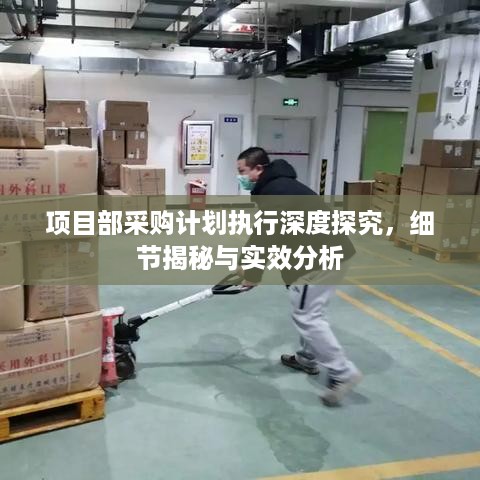 项目部采购计划执行深度探究，细节揭秘与实效分析