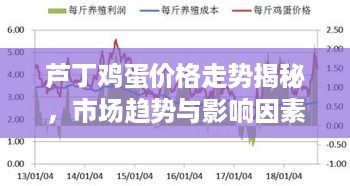 芦丁鸡蛋价格走势揭秘，市场趋势与影响因素分析