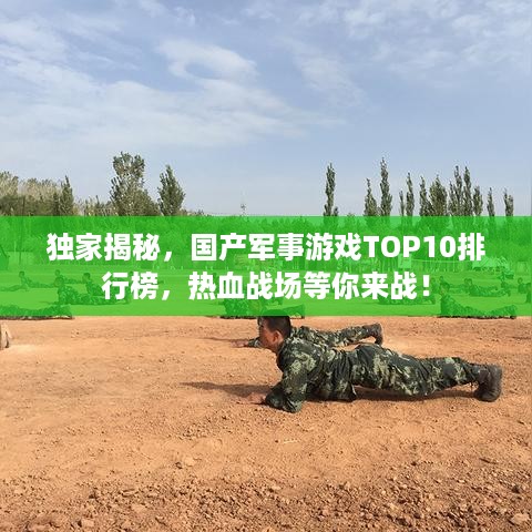 独家揭秘，国产军事游戏TOP10排行榜，热血战场等你来战！