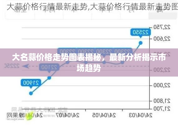 大名蒜价格走势图表揭秘，最新分析揭示市场趋势