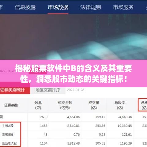 揭秘股票软件中B的含义及其重要性，洞悉股市动态的关键指标！