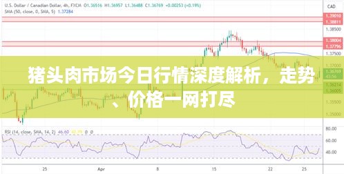 猪头肉市场今日行情深度解析，走势、价格一网打尽