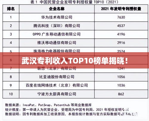 武汉专利收入TOP10榜单揭晓！