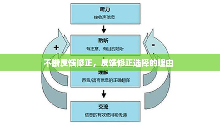 不断反馈修正，反馈修正选择的理由 