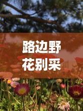 路边野花别采，一首蕴含深意的歌曲简谱