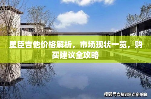 星臣吉他价格解析，市场现状一览，购买建议全攻略