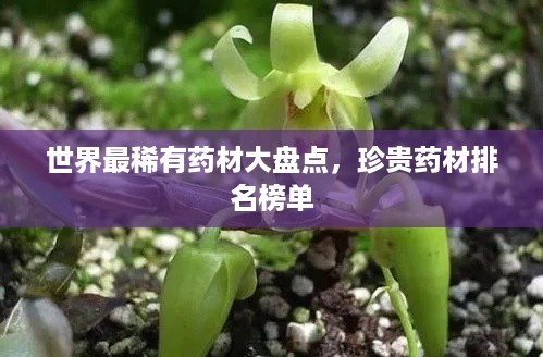 世界最稀有药材大盘点，珍贵药材排名榜单